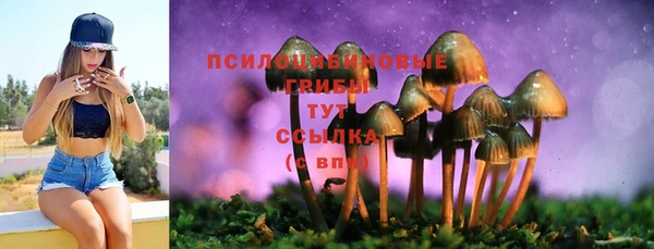 марки lsd Абаза