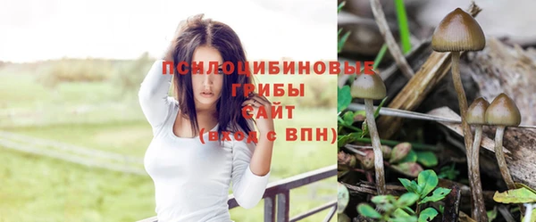 MESCALINE Абинск