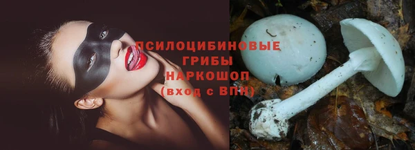 марки lsd Абаза