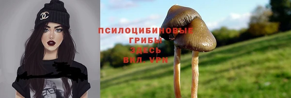 марки lsd Абаза