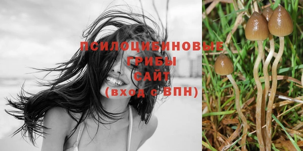 эйфоретик Абдулино